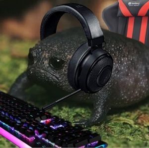 Meet your Posher, Javier